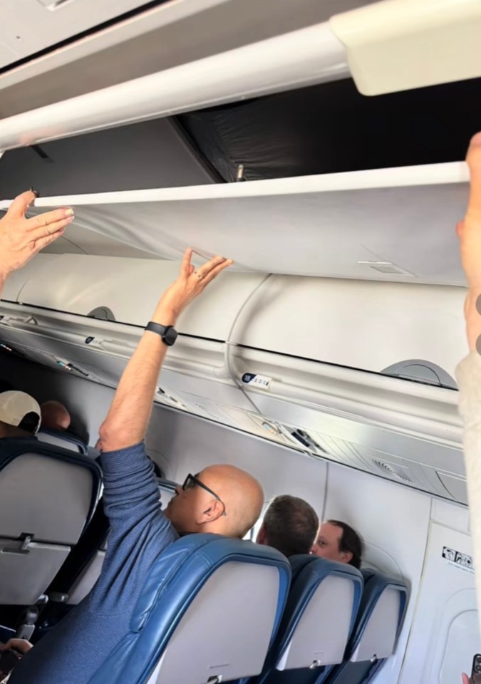 Delta Flight 2417 Ceiling Collapse: Shocking Truth Revealed! Delta Flight 2417 Ceiling Collapse: Shocking Truth Revealed!